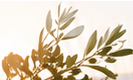 packages_bg